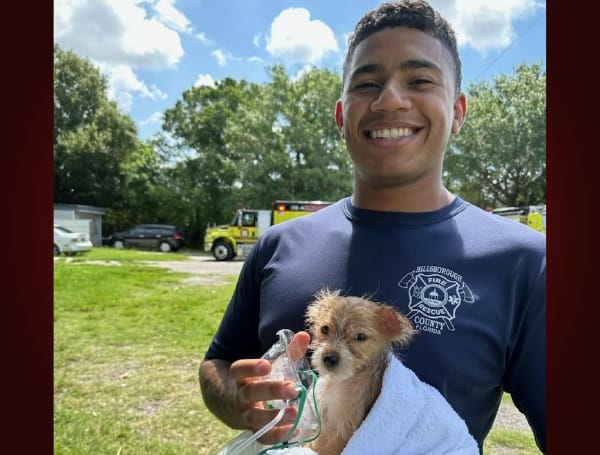 Hometown Heroes: Hillsborough County Firefighters Rescue 3 Dogs From Brutal Blaze