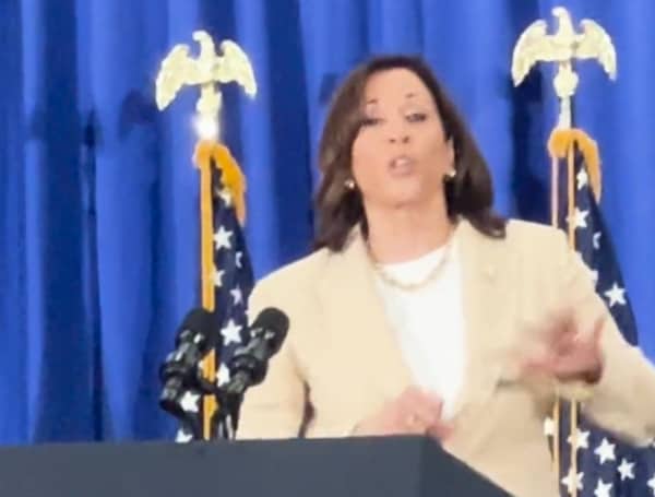 VP Kamala Harris Laughs As Climate Protester Yells At Her About Hawaii Burning