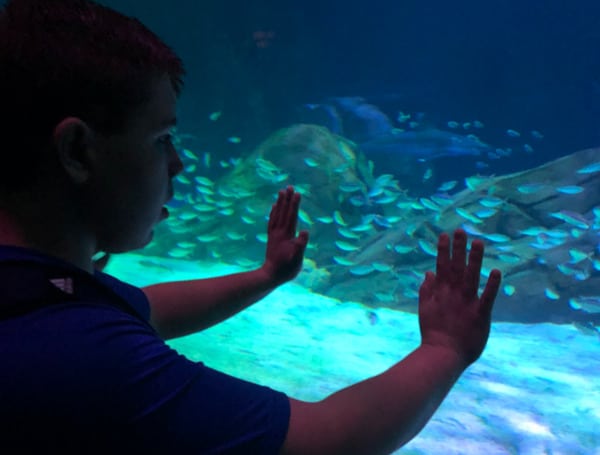 Arkansas Boy With Special Needs Gets His Dream Trip To Atlanta Aquarium