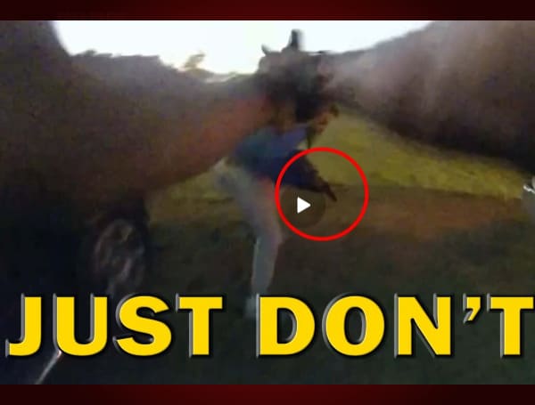 Pulling A Firearm On A Cop Will Not End Well As Seen On Video, LEO ROund Table