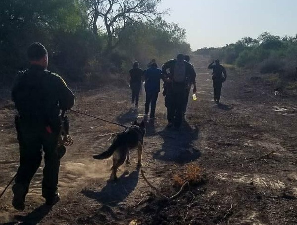 Border Agents Nabbed 50 Illegal Aliens On Terror Watchlist In Last 3 Months