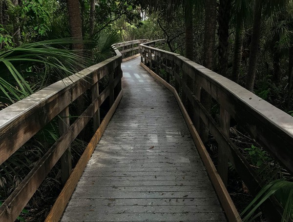 10,000 Acres In Florida’s Northern Everglades Permanently Protected Through Conservation Easements