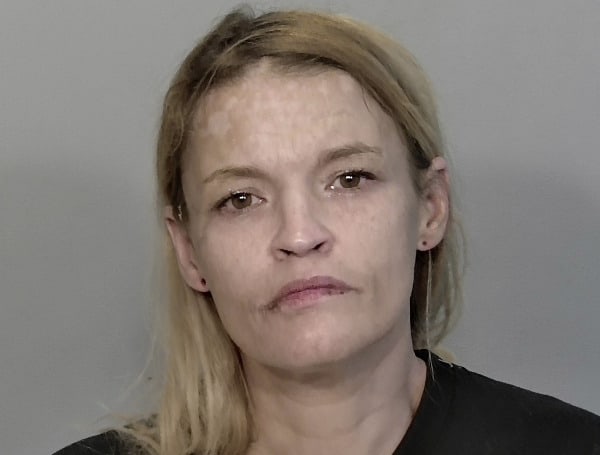 Florida Woman Arrested With Drugs And 1-Year-Old Baby In Passenger Seat Of SUV