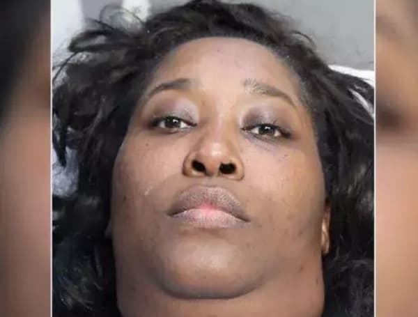 Florida Mom Arrested After Killing Her 3-Year-Old Twins, Then Jumping From Bridge Onto Train Tracks