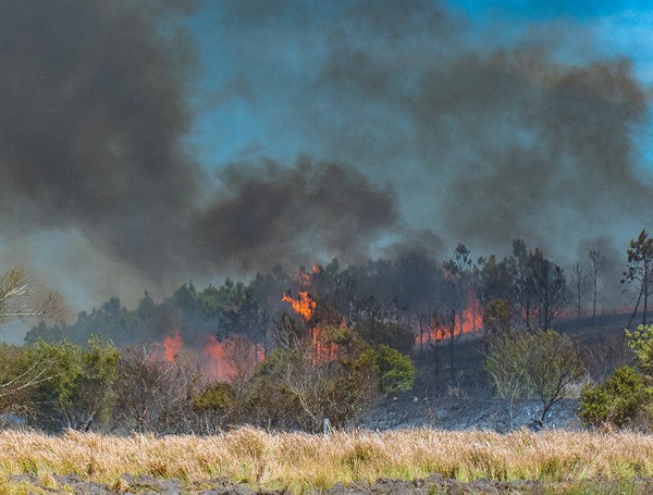 Florida Forest Service, Polk County Fire Rescue Battles Vegetation Fire, Fort Green Road Closed