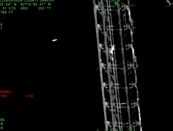 Subject Arrested In Riverview After Climbing Cell Phone Tower, Streaming It On Social Media