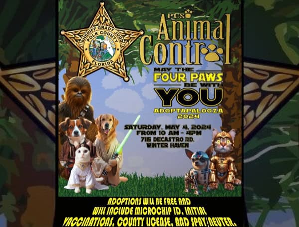 Polk County Animal Control Hosts “May The 4 Paws Be With You” Free Adoption Event