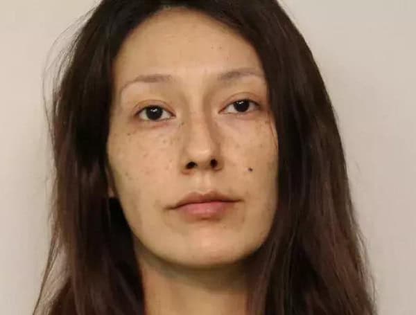 Minnesota Mom Charged With Murder After Stabbing 2 Sons, Setting Home On Fire