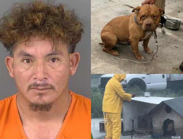 Florida Man Charged With Animal Cruelty After Tethering Dog To Flooded Doghouse During Downpour