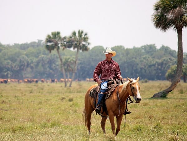 Discover Florida: Deseret Ranches