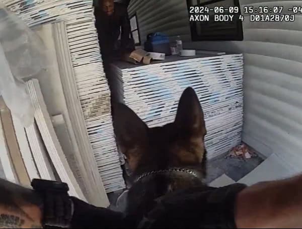 Watch Hillsborough County Sheriff’s Office K-9 Track Car Thief In Tampa