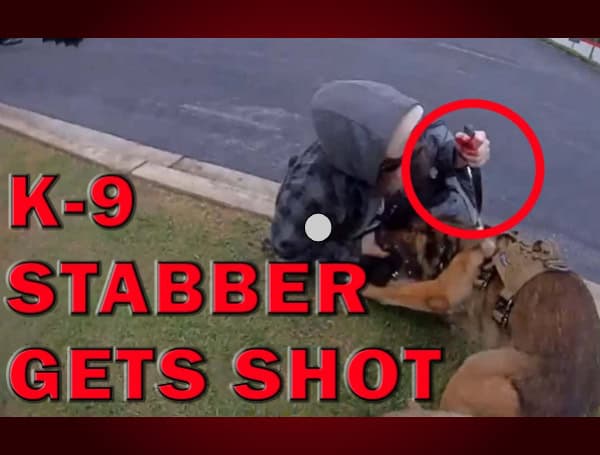 K-9 Survives After Brutal Stabbing By Violent Suspect On Video, LEO Talk Show