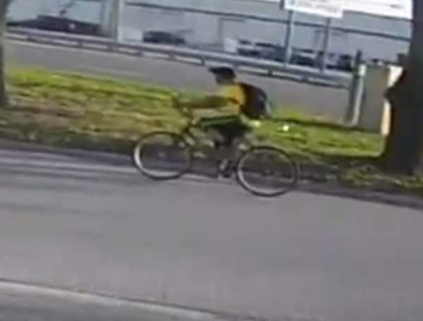 Pinellas County Deputies Seek Public Help Finding Sudden Snatching Robbery Suspect Of Wheelchair-Bound Victim