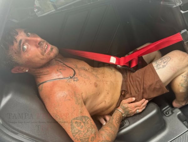 Florida Man’s High-Speed Getaway In Stolen Car Ends In Crash And Capture