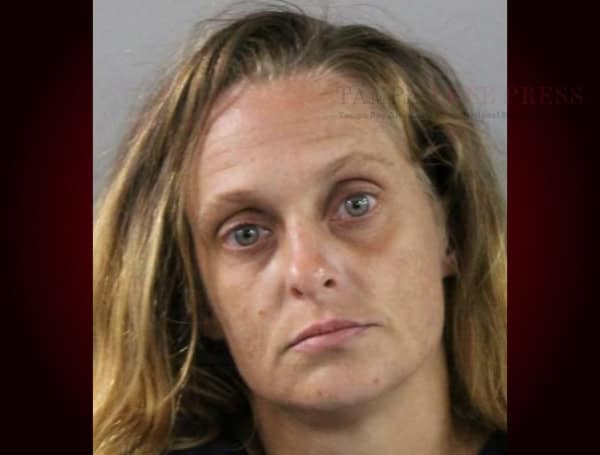 Melissa’s Misadventures In Lake Wales: A Burglary, A Fish Camp, And A Forgetful Felon