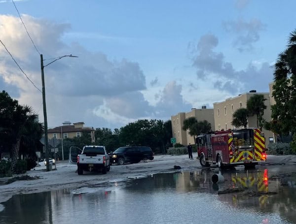 Pinellas County Races To Clear Debris Ahead Of Hurricane Milton