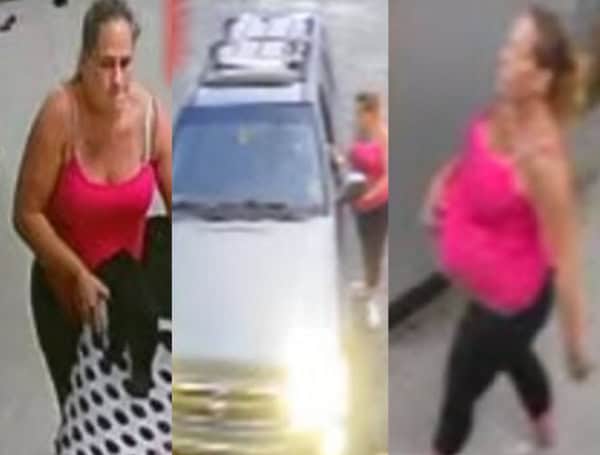 Do You Recognize Her? Woman Steals Clothes From Winter Haven Laundromat