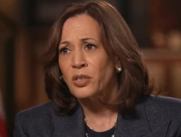 Democratic Strategist Pleads With Kamala Harris To Never Run For President Again