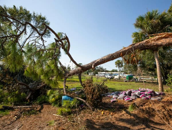 Hurricane Milton Tops 2024’s Insured Loss Chart, Despite Helene’s Higher Damage