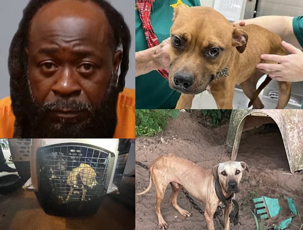 Poinciana Man Arrested For Horrific Animal Cruelty, Illegal Dumping In Polk County