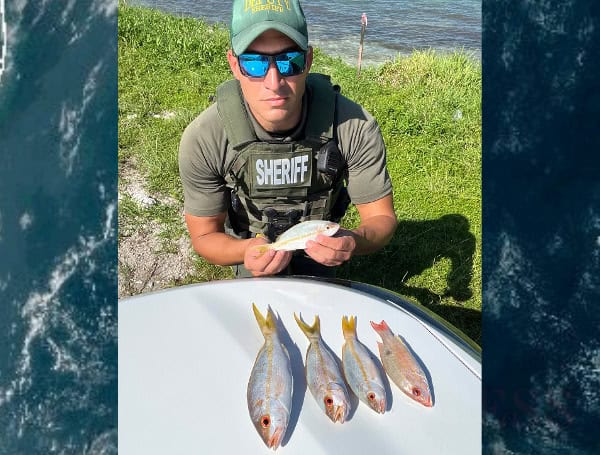 South Florida Anglers Reel In Court Date For Undersized Catch: Monroe County Sheriff