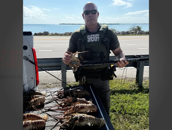 2 Miami Anglers Caught With Illegal Catches Near Channel Five Bridge: Monroe County Sheriff