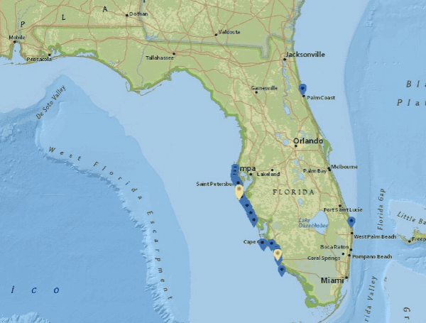 FWC: Red Tide Bloom Persists Along Florida’s Gulf Coast