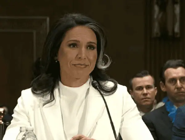 Senate Confirms Tulsi Gabbard As Director Of National Intelligence, Advances RFK Jr. For HHS Secretary