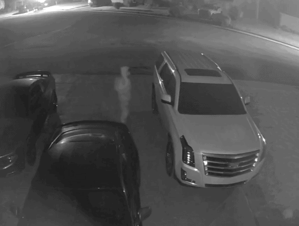 Pasco Deputies Seek Suspect In String Of Hudson Vehicle Burglaries