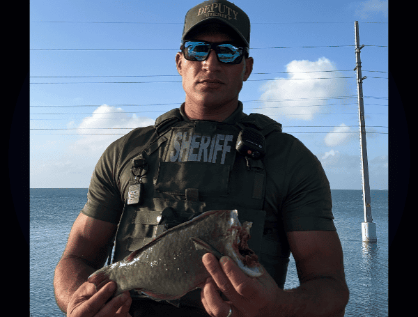 Key Largo Man Cited For Illegal Parrotfish Harvest: Monroe County Sheriff