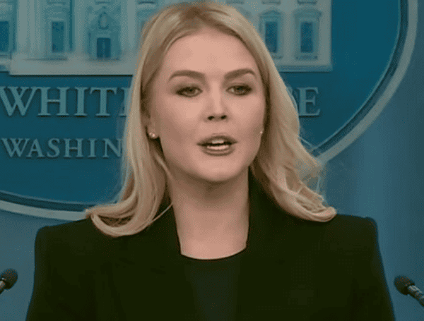 White House Press Secretary Karoline Leavitt Destroys Dems Over DOGE ‘Incredibly Out Of Touch’