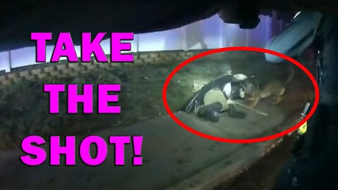 Two Police K-9 Dogs Stabbed Multiple Times Before Shots Were Fired – LEO Talk Show