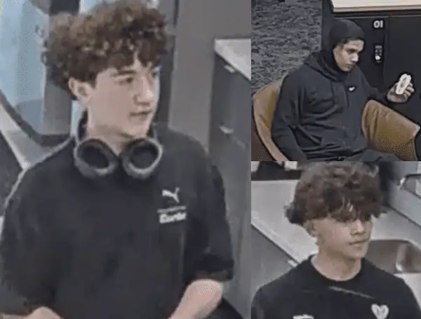 Odessa, Land O’ Lakes Teen Burglary Suspects Identified And Located By Pasco Sheriff’s Office