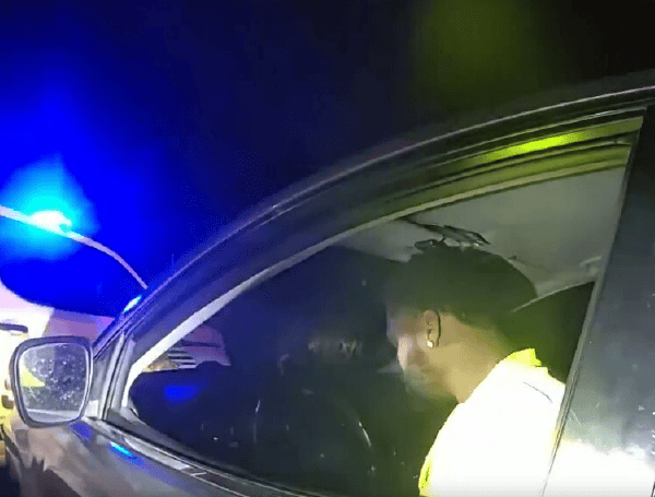 Riverview Traffic Stop: Drugs, Guns Found In Vehicle With 5 Children