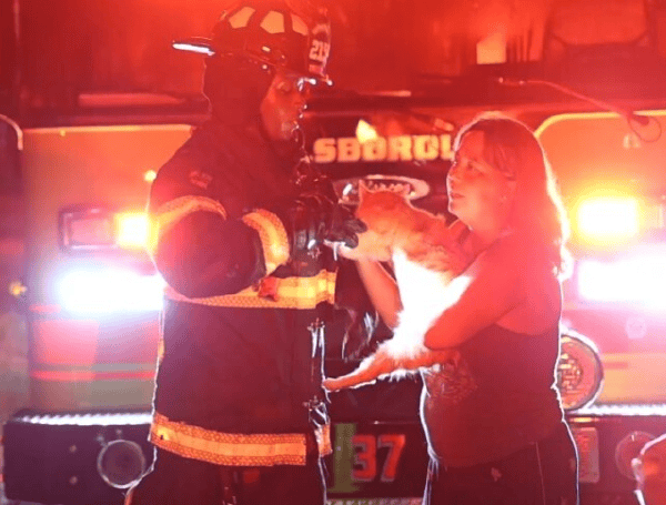 Hillsborough County Fire Rescue Contains Residential Blaze, Rescues Family Cats In Brandon
