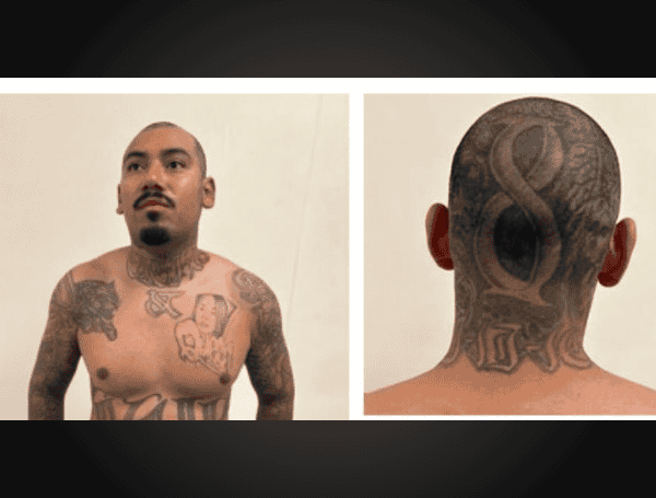 ICE Nabs Rapists, Child Predators, Gang Members In Deportation Blitz 6 Christian ROBLES-Andrade. Image courtesy of DHS.