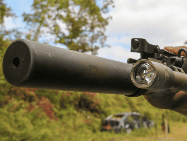 Florida Lawmakers Among Votes In House Passage Of Bill Easing Gun Silencer Regulations
