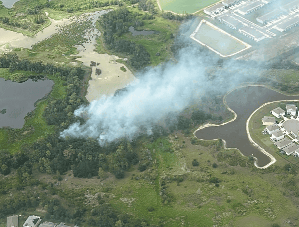 Wondering Willow Wildfire In Wesley Chapel Now 80% Contained