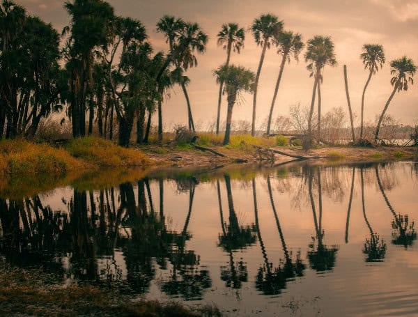 Florida State Parks Unveils Winners Of 2024 “Capture The Real Florida” Photo Contest