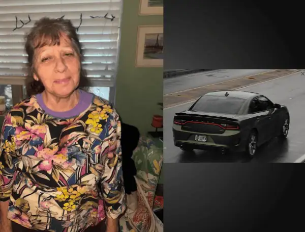 Florida Silver Alert Issued For Missing Seminole Woman: Pinellas County Sheriff