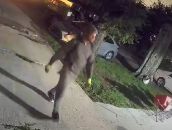Lakeland Woman’s Vehicle Ransacked In Early Morning Burglary, PCSO Seeks Public’s Help