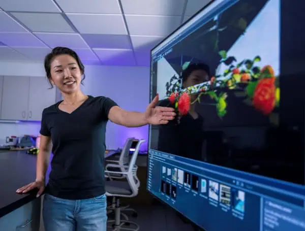 Florida Scientists Cultivate Virtual Strawberries To Grow A Smarter Future For Farming Florida Scientists Cultivate Virtual Strawberries To Grow A Smarter Future For Farming